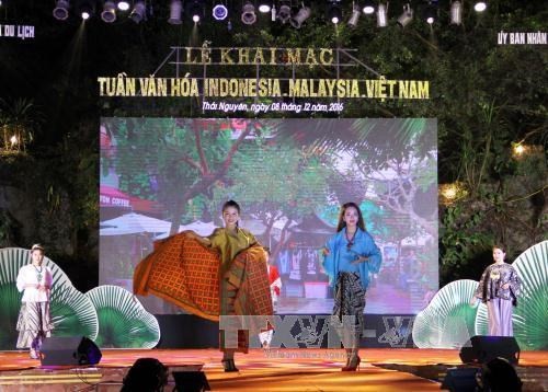 Malaysia, Indonesia, Vietnam Culture Week closes - ảnh 1
